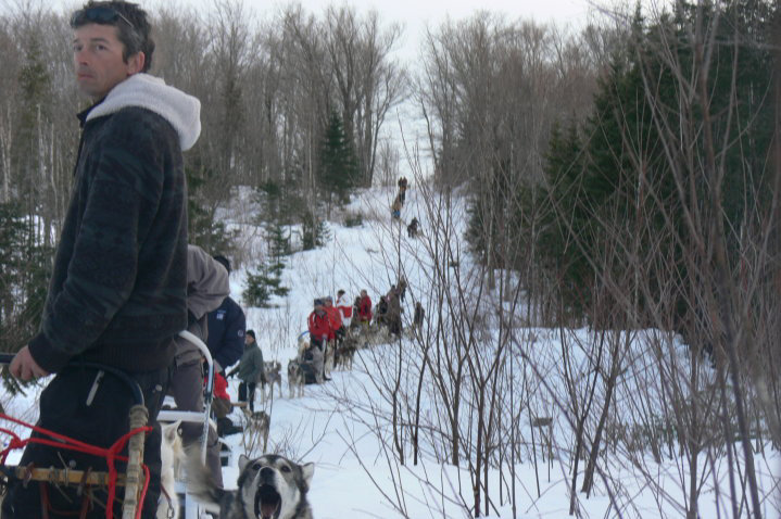 France Gagnon et ses chiens de traineau.